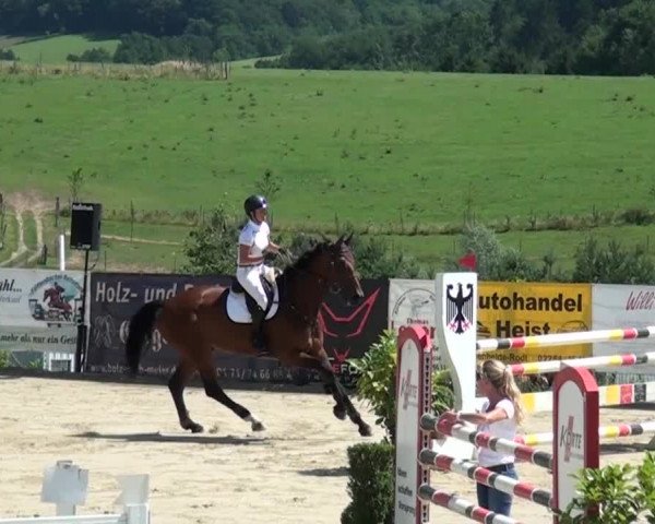 Reitturnier Lindlar-Süttenbach 2015