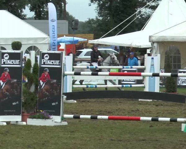 FEI Reitturnier Steinhagen (GER) 2015