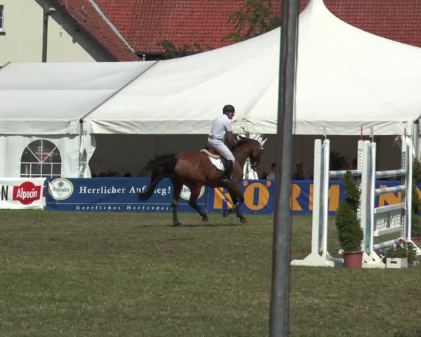 FEI Reitturnier Steinhagen (GER) 2015