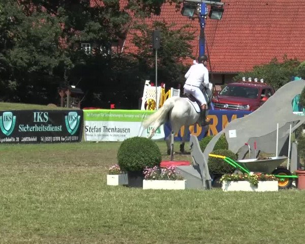 FEI Reitturnier Steinhagen (GER) 2015