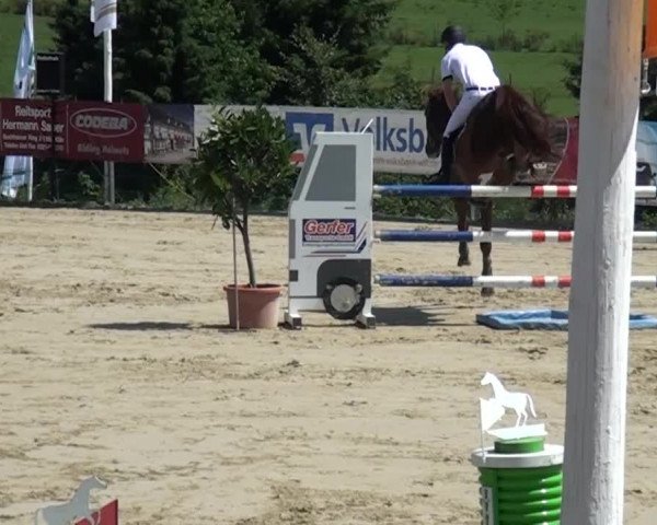Reitturnier Lindlar-Süttenbach 2015