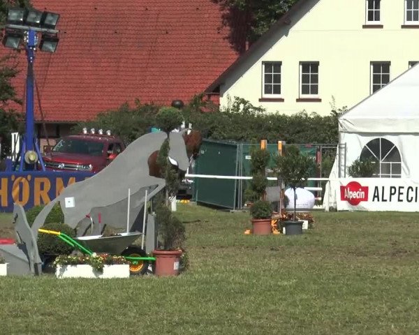 FEI Reitturnier Steinhagen (GER) 2015
