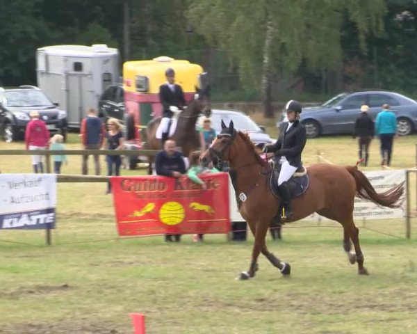 Reitturnier Ahlhorn 2015