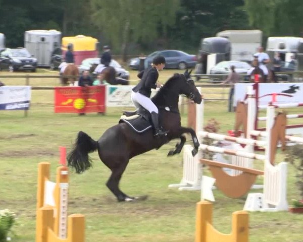 Reitturnier Ahlhorn 2015