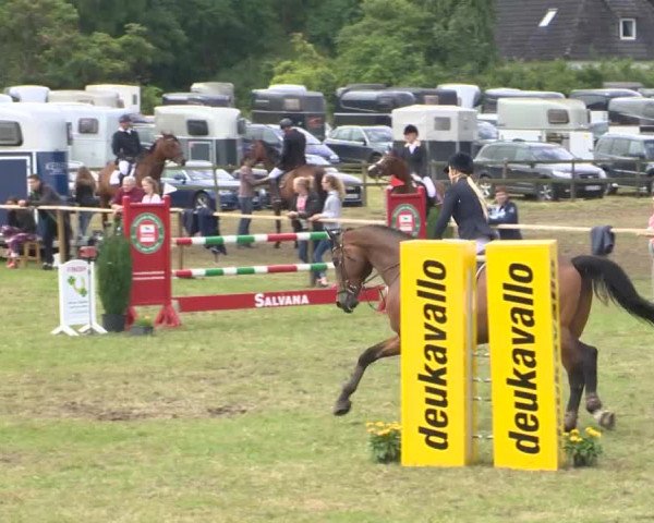 Reitturnier Ahlhorn 2015