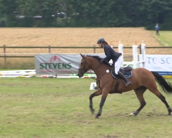 Reitturnier Ahlhorn 2015