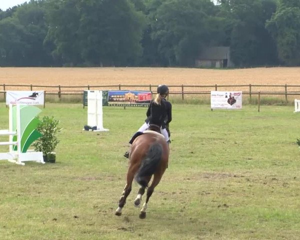 Reitturnier Ahlhorn 2015