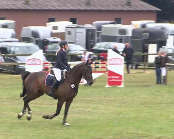 Reitturnier Ahlhorn 2015