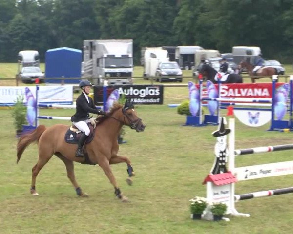 Reitturnier Ahlhorn 2015