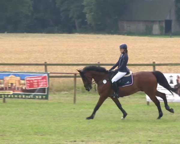 Reitturnier Ahlhorn 2015