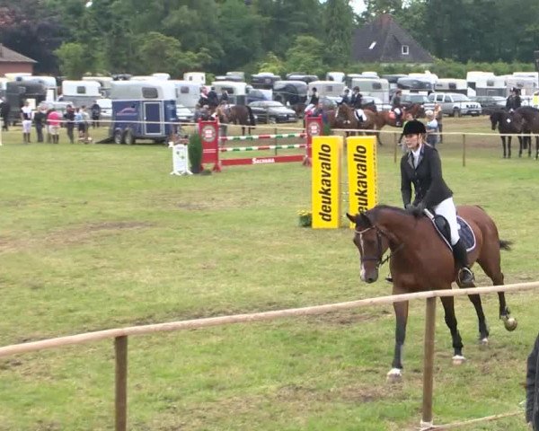 Reitturnier Ahlhorn 2015