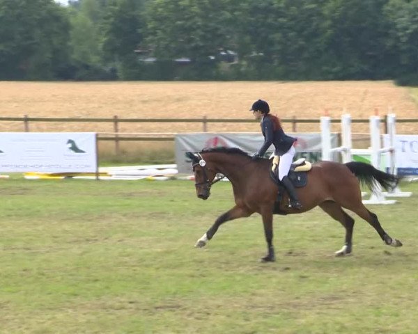 Reitturnier Ahlhorn 2015