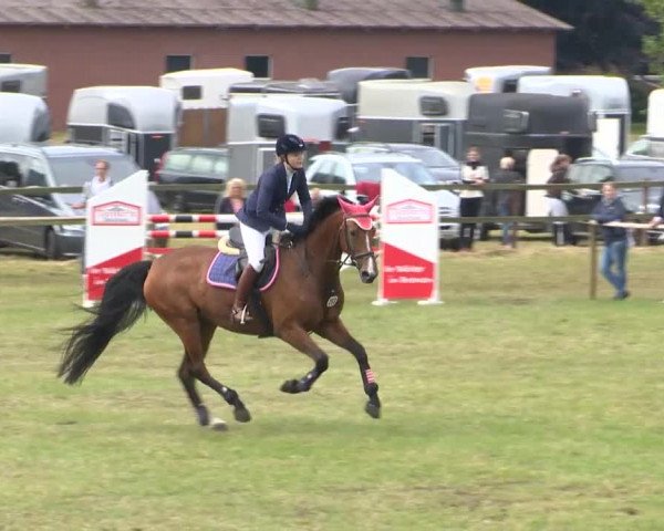 Reitturnier Ahlhorn 2015