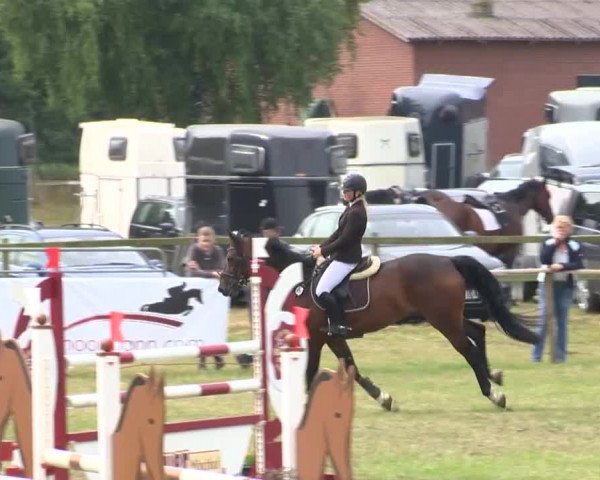 Reitturnier Ahlhorn 2015
