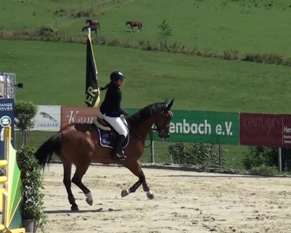 Reitturnier Lindlar-Süttenbach 2015