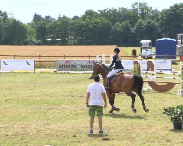 Reitturnier Ahlhorn 2015