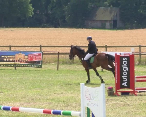 Reitturnier Ahlhorn 2015