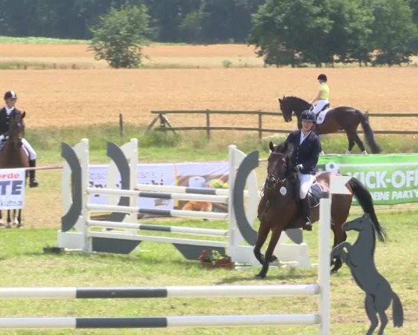 Reitturnier Ahlhorn 2015