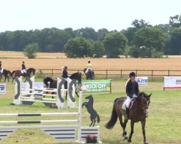 Reitturnier Ahlhorn 2015