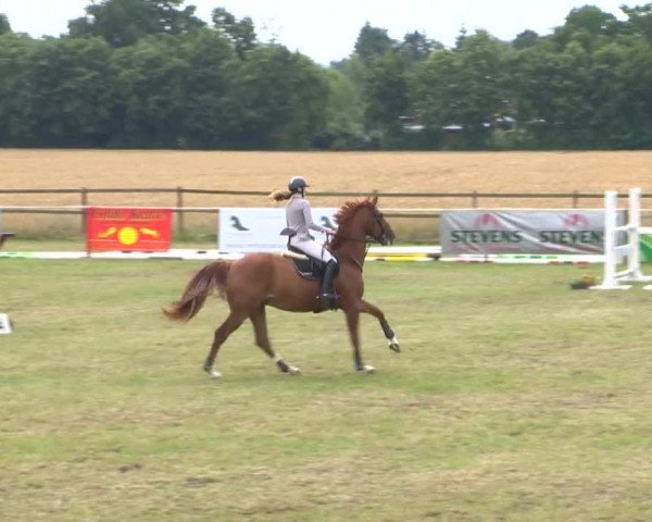 Reitturnier Ahlhorn 2015