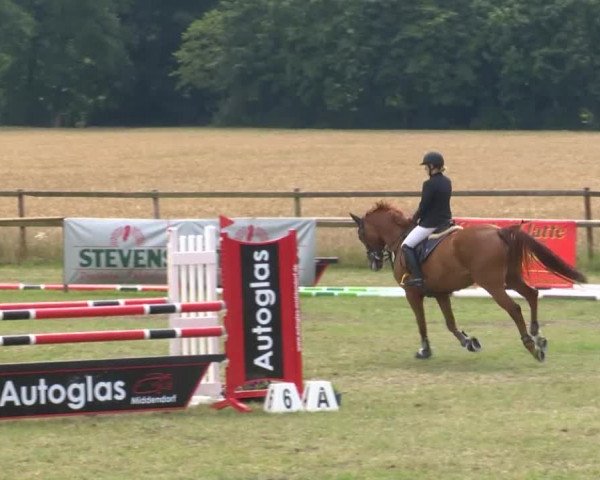 Reitturnier Ahlhorn 2015