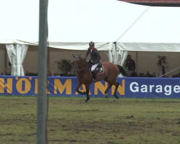 FEI Reitturnier Steinhagen (GER) 2015