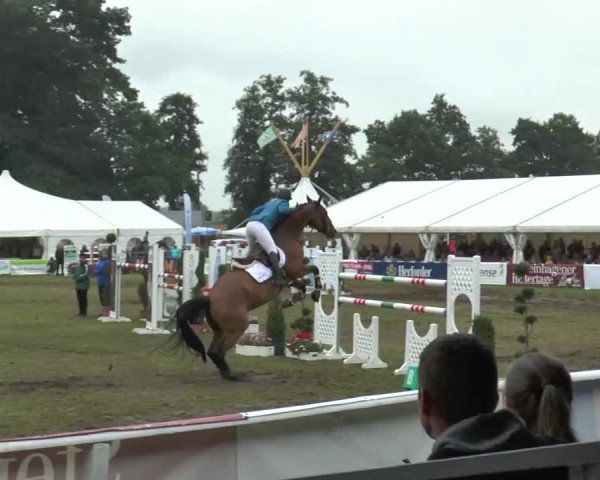 FEI Reitturnier Steinhagen (GER) 2015