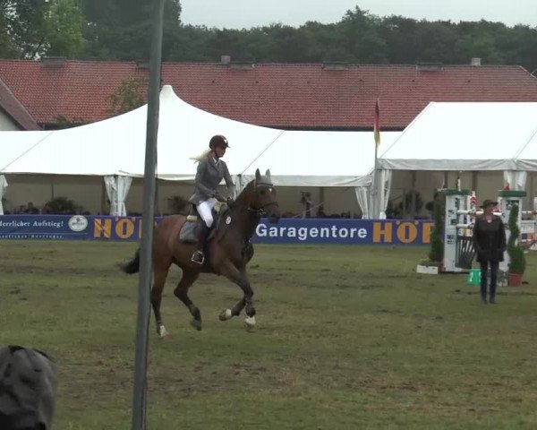 FEI Reitturnier Steinhagen (GER) 2015
