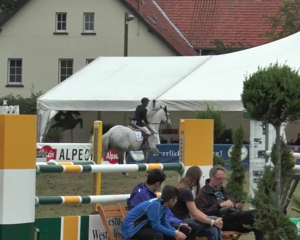 FEI Reitturnier Steinhagen (GER) 2015