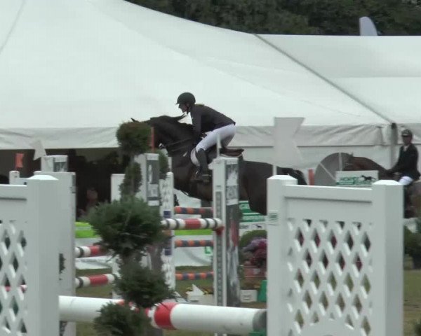 FEI Reitturnier Steinhagen (GER) 2015