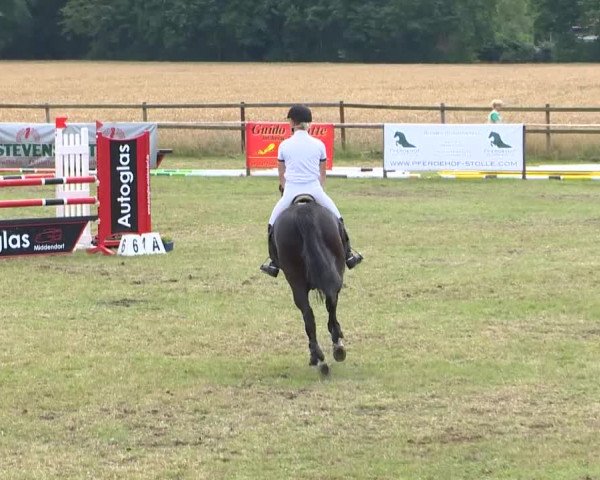 Reitturnier Ahlhorn 2015