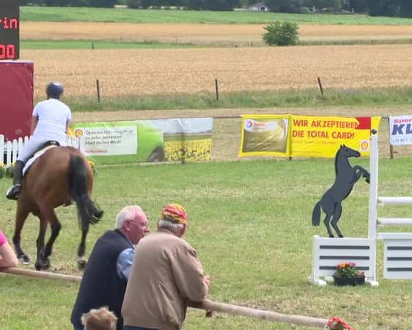Reitturnier Ahlhorn 2015
