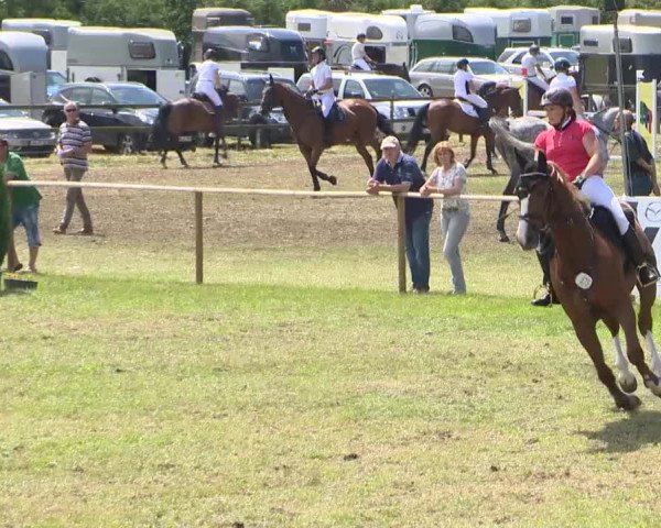 Reitturnier Ahlhorn 2015