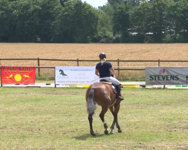Reitturnier Ahlhorn 2015