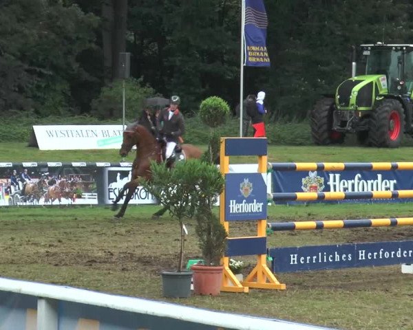 FEI Reitturnier Steinhagen (GER) 2015