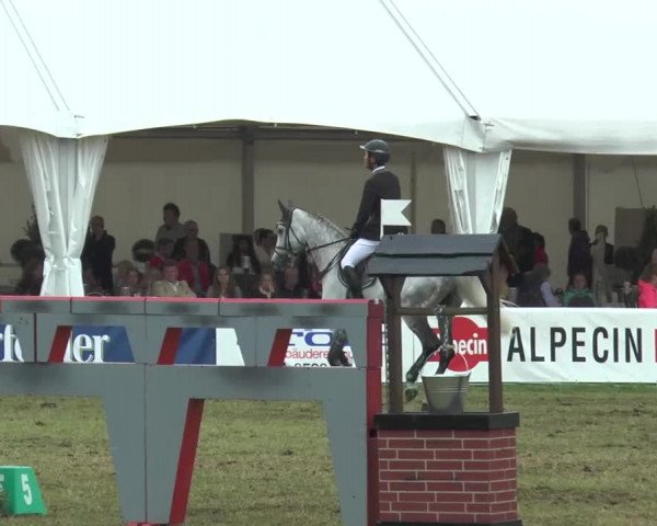FEI Reitturnier Steinhagen (GER) 2015