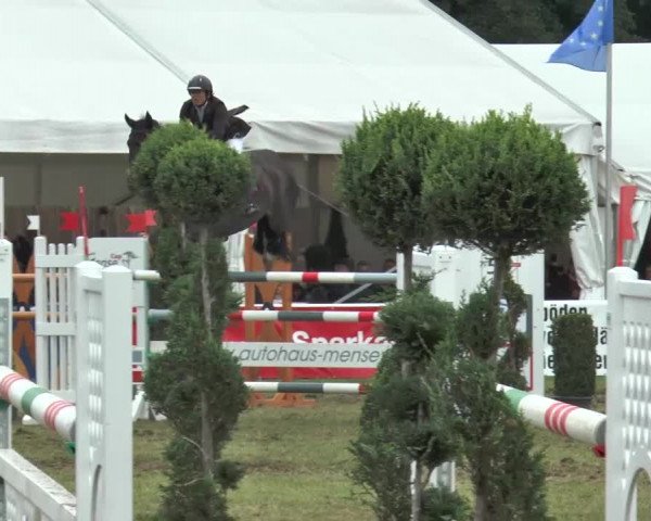 FEI Reitturnier Steinhagen (GER) 2015