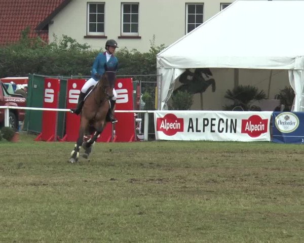 FEI Reitturnier Steinhagen (GER) 2015