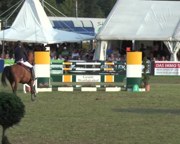 FEI Reitturnier Steinhagen (GER) 2015
