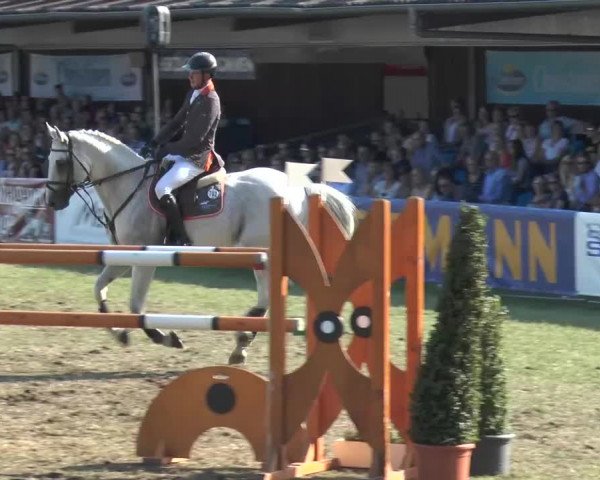 FEI Reitturnier Steinhagen (GER) 2015