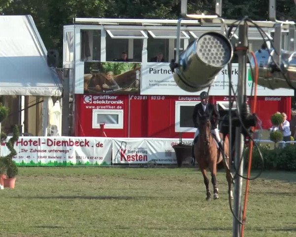 FEI Reitturnier Steinhagen (GER) 2015