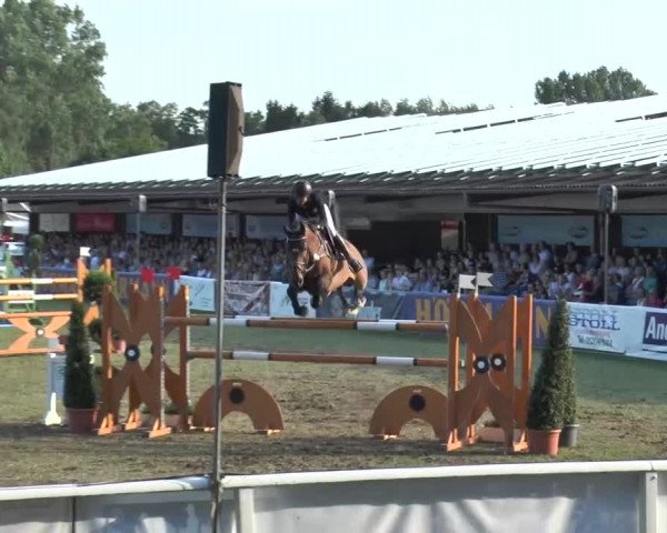 FEI Reitturnier Steinhagen (GER) 2015