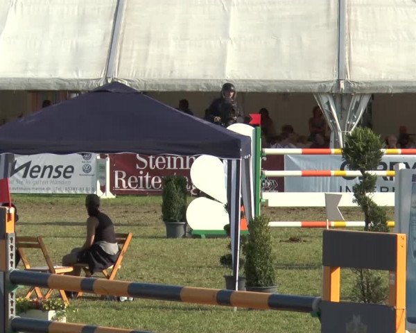 FEI Reitturnier Steinhagen (GER) 2015