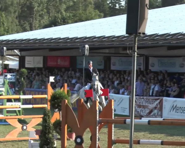 FEI Reitturnier Steinhagen (GER) 2015