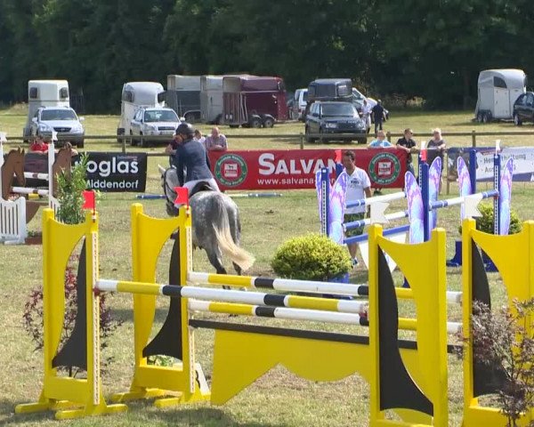 Reitturnier Ahlhorn 2015