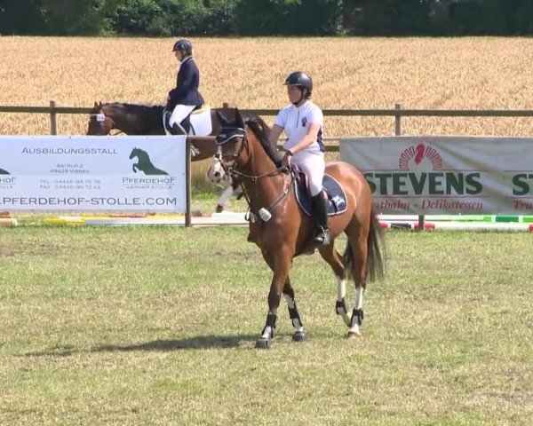 Reitturnier Ahlhorn 2015