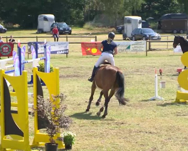 Reitturnier Ahlhorn 2015