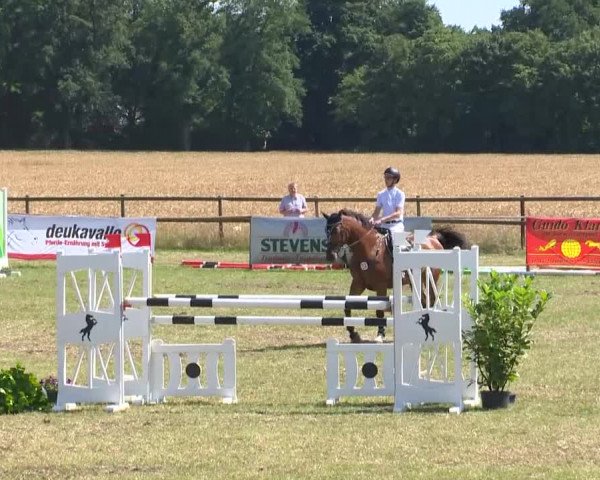 Reitturnier Ahlhorn 2015