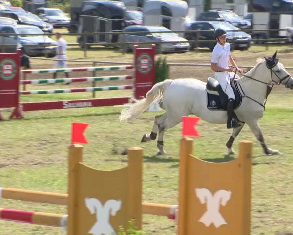 Reitturnier Ahlhorn 2015