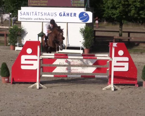 Reitturnier Münster-Roxel 2015